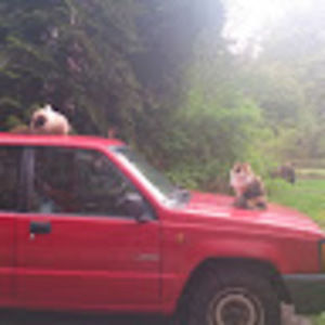 Meet your Posher, Elke